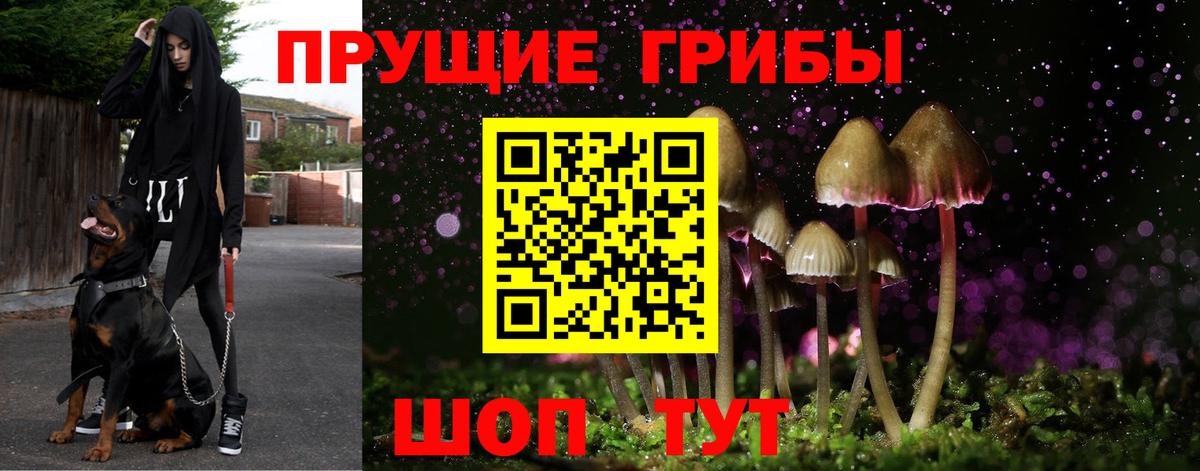 Псилоцибиновые грибы Magic Shrooms  Псилоцибиновые грибы мухоморы  Мончегорск  Вход с VPN 